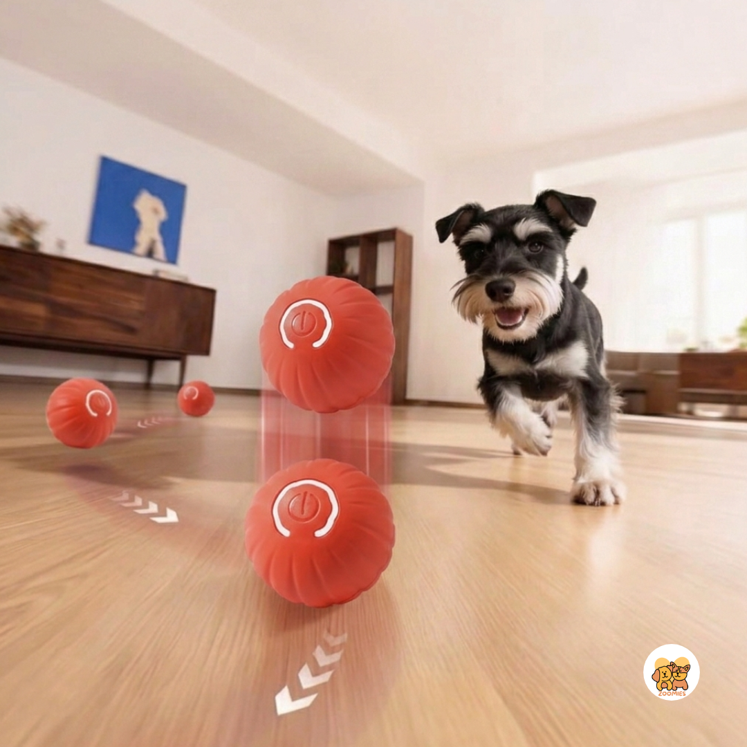 Automatic Shaky ball
